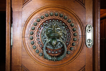 Old door with a lion shaped handle