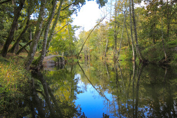 River surrounded by trees and vegetation on an autumn day. Autumn colours