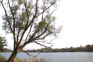 lake in autumn