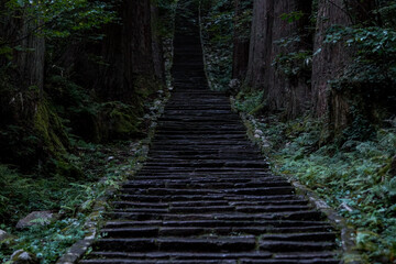 Mt. Haguro in Yamagata, 2020.