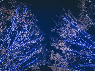 blue christmas background