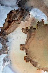 Abstract art; A detail from an alcohol ink painting. A subtly colorful abstract painted background, with strong texture.