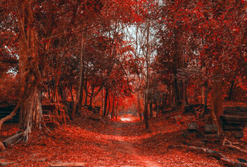 Autumn scene park natural background