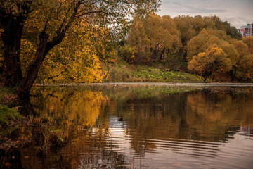 Fototapeta na wymiar Autumn landscape - yellowed deciduous trees on the Bank of a pond in the city's autumn Park zone. Colorful autumn landscape.