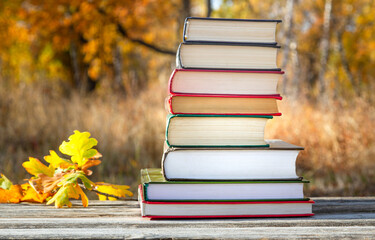 Books in a stack on a wooden table in an autumn park.