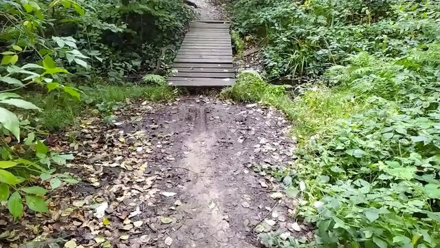 Walk through autumn forest on footpath across damaged small wooden bridge over little creek with trees in healthy environment, clean air and idyllic scene in the woods in fall season as hiking tour