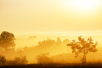 Beautiful foggy landscape during amazing sunrise with house, trees and vineyards. South Moravia, Czech Republic.