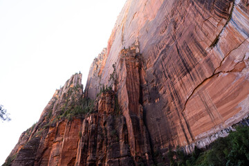 Rocky Cliff Face in Zion National Park, Utah