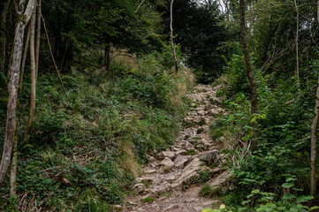 Countryside outdoors footpath in Autumn, Somerset, UK