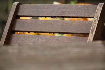 in the rain: wooden garden furniture