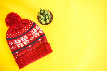 Christmas and winter decoration on yellow . Mockup winter fashion in blank yellow background with red woole christmas hat and cactus. 
