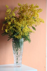 Interior photography. The image of a bouquet of flowers in a crystal vase against the background of an orange wall. Yellow mimosa in a transparent glass vase stands on a shelf