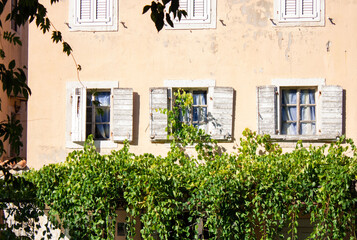 Fototapeta na wymiar Architecture. Light wall of an old house with windows and shutters. Live green hedge
