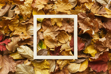 Creative mockup made of autumn leaves. Fall concept. Autumn background.Flat lay, top view, copy space, layout