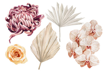 a set of watercolor images with chrysanthemums, palm leaves, rose and orhead, set for the bouquet