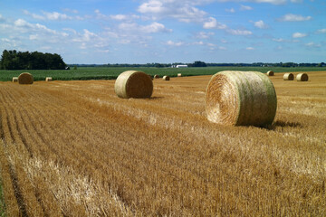 Rolls of Hay in the Field