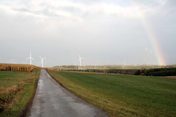 Landstraße mit Wiesen und Feldern nach dem Regen vor Himmel mit Wolken und Regenwolken im Herbst...