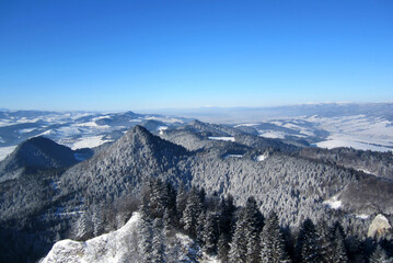 Fototapeta premium Panorama of winter mountains. Mountains and trees covered with snow
