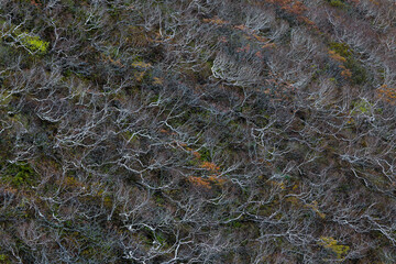 Mt. Iwaki in Aomori, 2020.