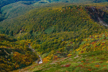 Mt. Iwaki in Aomori, 2020.