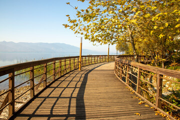Plakat Romantic wooden walkway in trees by the lake