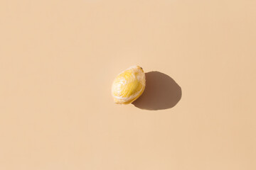 Limon in wrap polyethylene plastic on beige background. Minimal enviromental concept. Fruit...