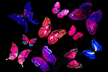 Obraz na płótnie Canvas coloured butterflies in a black background - greeting card
