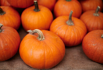 pumpkins for halloween