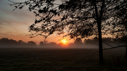 Sunrise on a foggy morning in the country