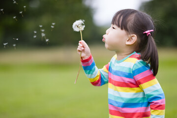 young girl blowing dandelion in the  summer garden morning
