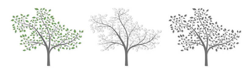 Tree with branches and leaves in three versions on a white background