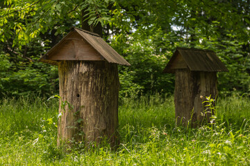 Old wooden hive in the forest