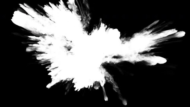 White smoke explosion with alpha cg animation