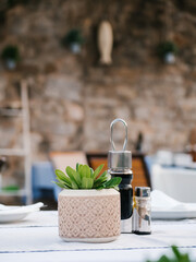 Fototapeta na wymiar Closeup of empty restaurant table with pot with a green plant . Outside cafe in Budva, Montenegro. Soft focus
