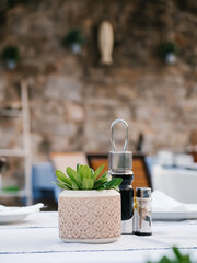 Closeup of empty restaurant table with pot with a green plant . Outside cafe in Budva, Montenegro. Soft focus