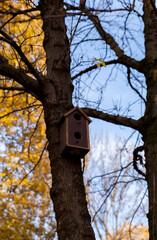 A bird house on a tree in the park,autumn vibes

