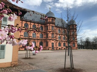 Naklejka premium Karlsruhe with cherry blossom in sprong