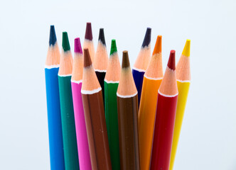 Colorful pencils group on white background