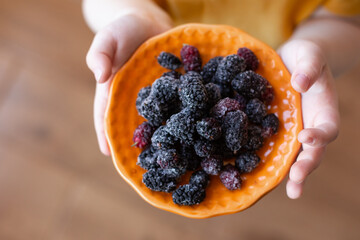 Orange saucer with frozen mulberries