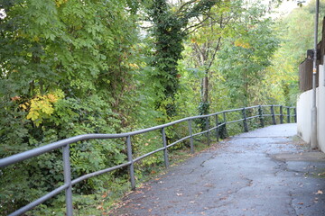 mysteri&ouml;se Forststra&szlig;e