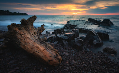 Broken Tree trunk on rocky beach
