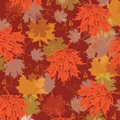 Naklejka na ściany i meble set of Golden autumn maple leaves