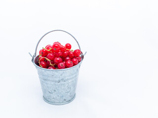 A metal basin filled with red currants