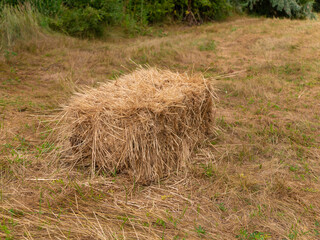 A cubic haystack forgotten in the field. The season for mowing grass and preparing livestock feed for the winter