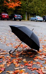 umbrella and rain in autumn