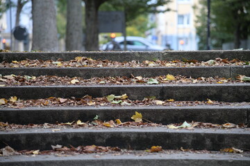 gelbe und abgefallene Blätter im Herbst stehen auf der Steintreppe