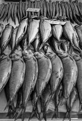 Fish Market in dePijp, Amsterdam, Netherlands, May 2019