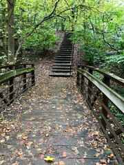 path railway in the forest woods nature green trees lush natural hidden magical fall autumn scene bridge stairs stairway fall autumn USA Washington DC United States