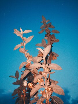 Processed with RNI Films. Preset 'Technicolor 2 HC' 