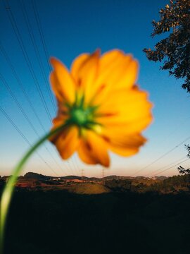 Processed with RNI Films. Preset 'Kodak E 100G'